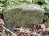 John Forscythe YOB may be 1853 (marker says 1852)